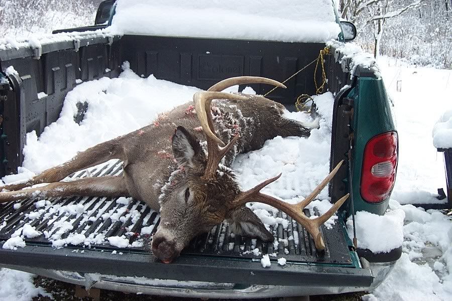 Any deer hunters here?