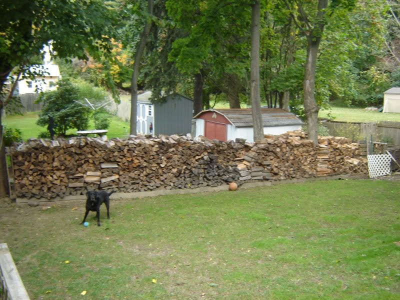 2009 Woodpiles