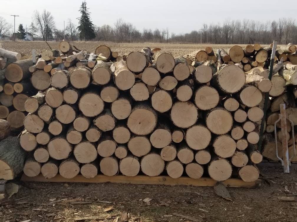 How much wood is here?