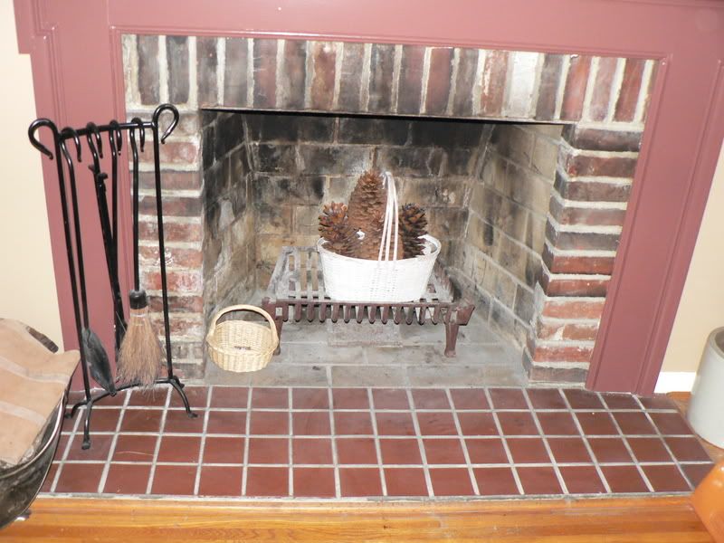 Hi all, I'm ready to order my fireplace insert tomorrow.