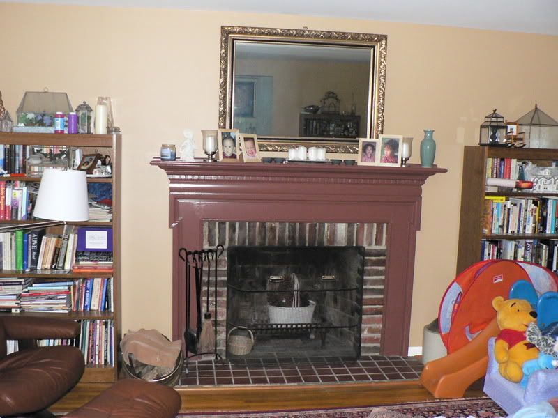 Hi all, I'm ready to order my fireplace insert tomorrow.