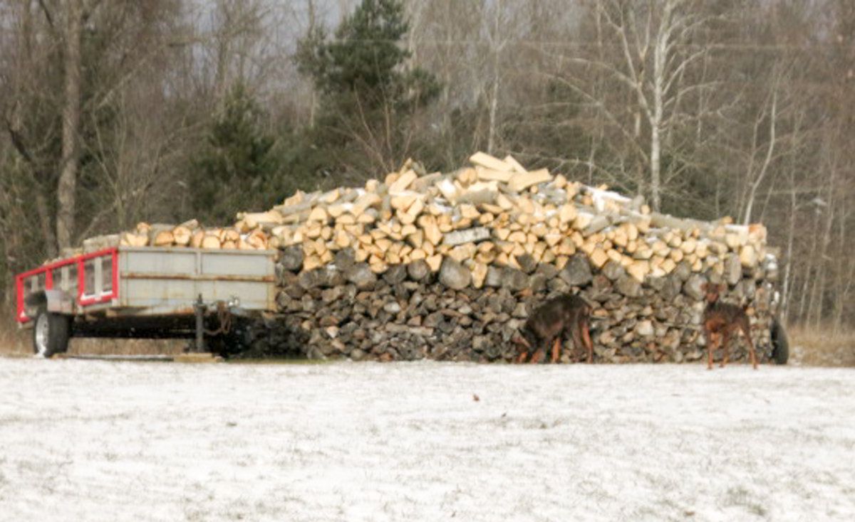 Firewood-3.jpg
