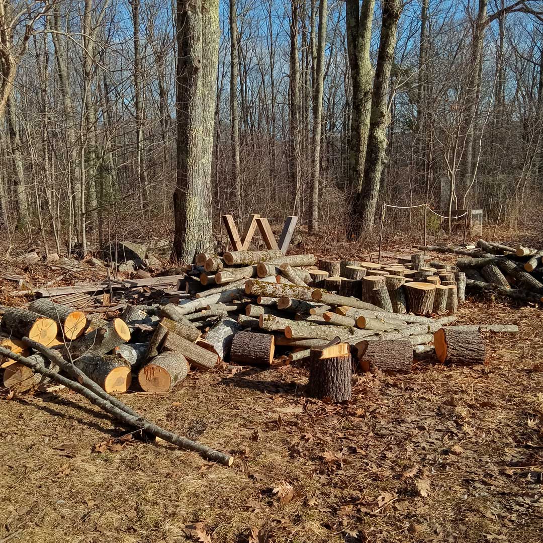 firewood-pile.jpg