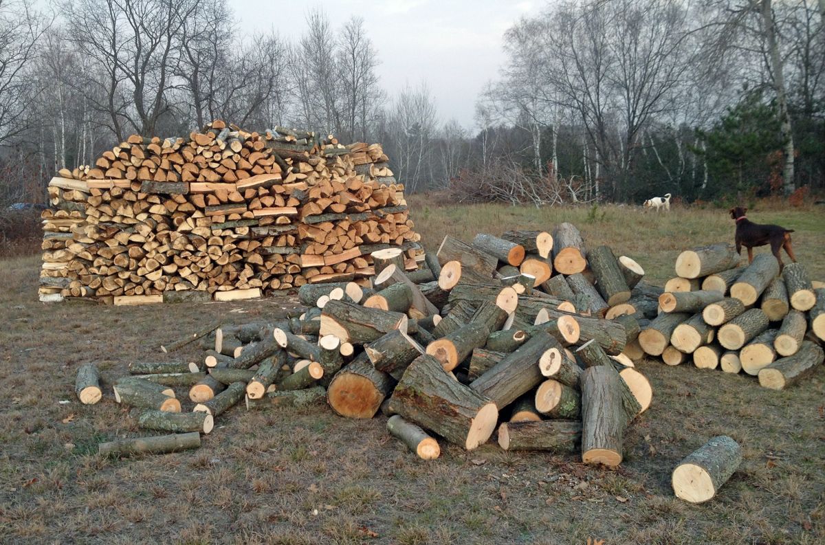Firewood001-3.jpg