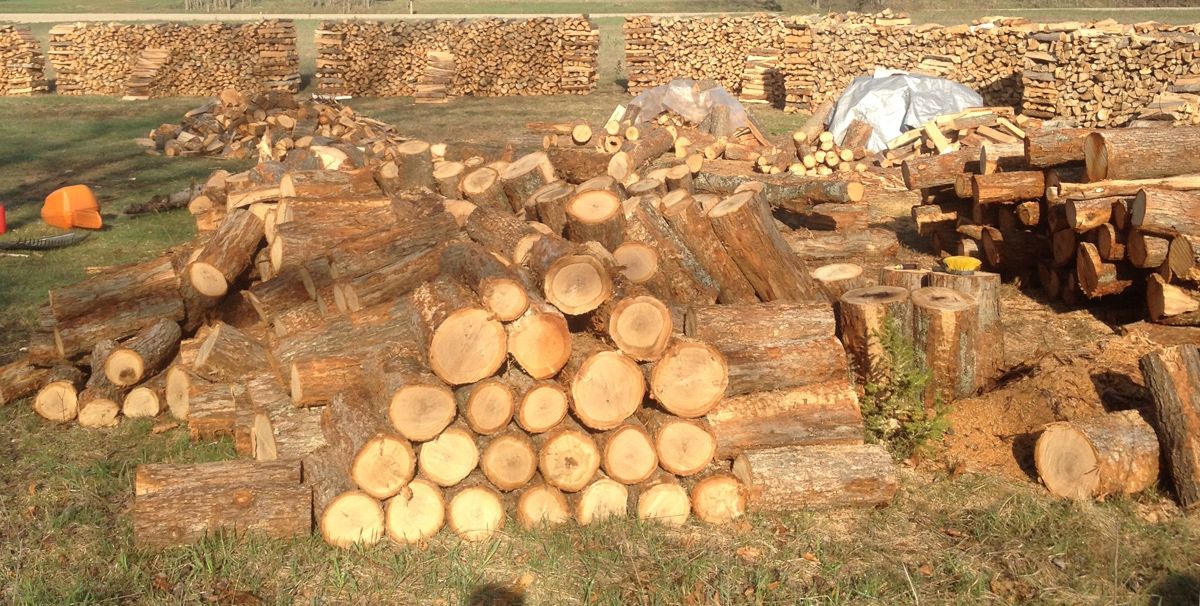 Firewood001-9.jpg