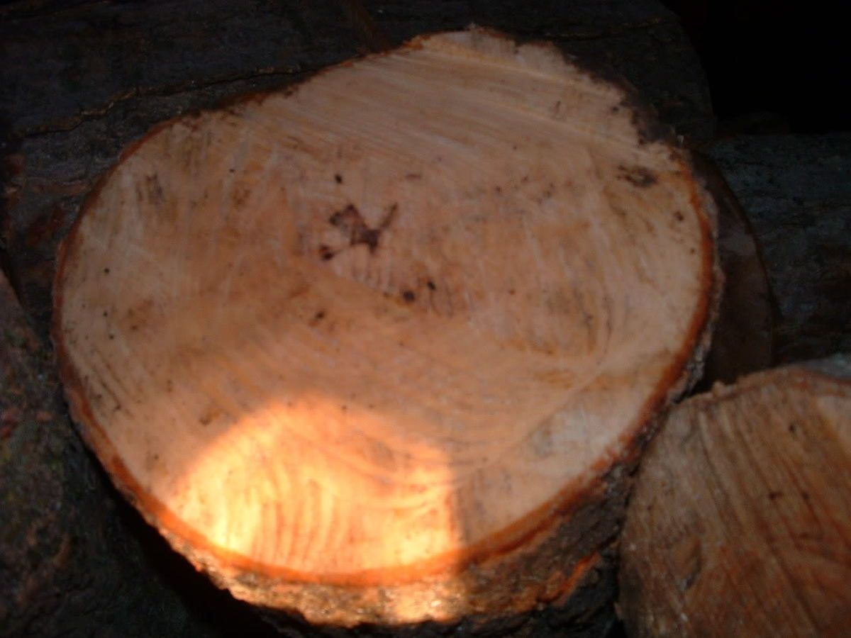 firewood005.jpg