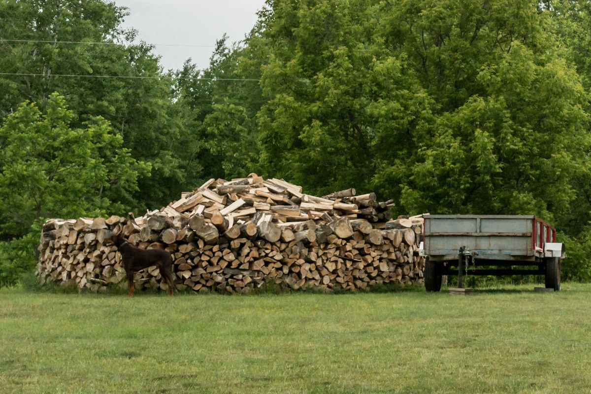 Firewood01-1.jpg