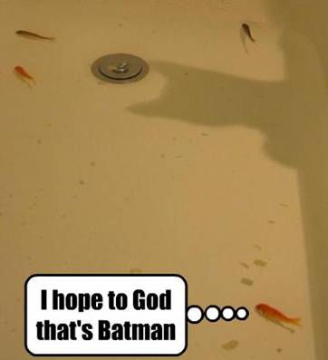 funny-fish-cat-Batman-shadow.jpg