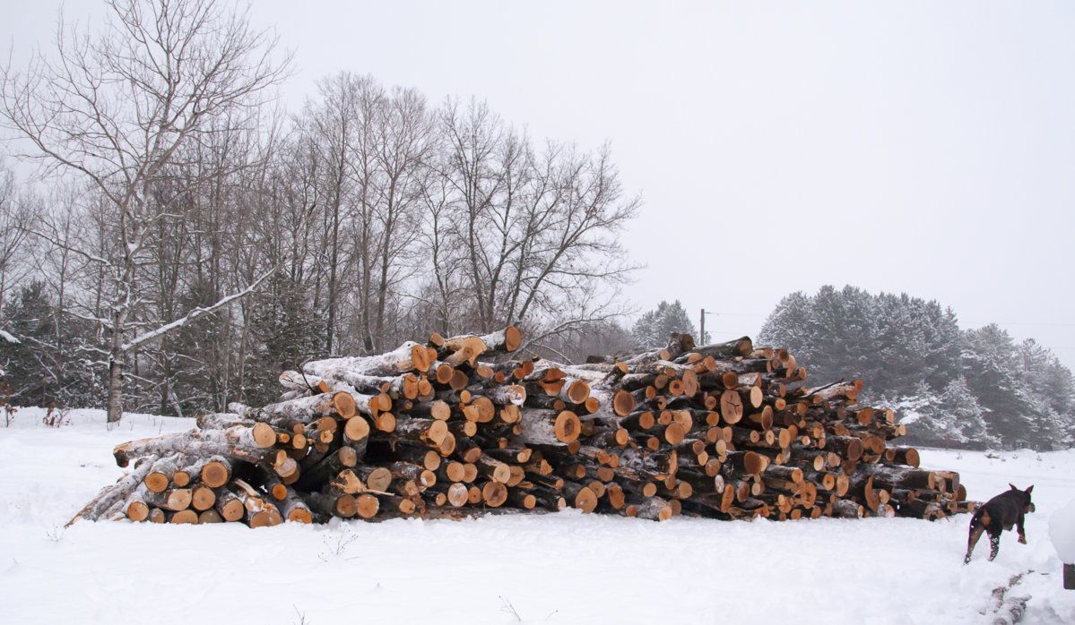 Semi-Log Load (Michigan)