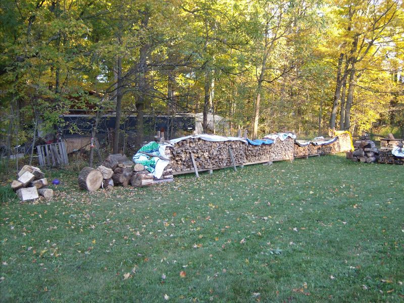 2009 Woodpiles