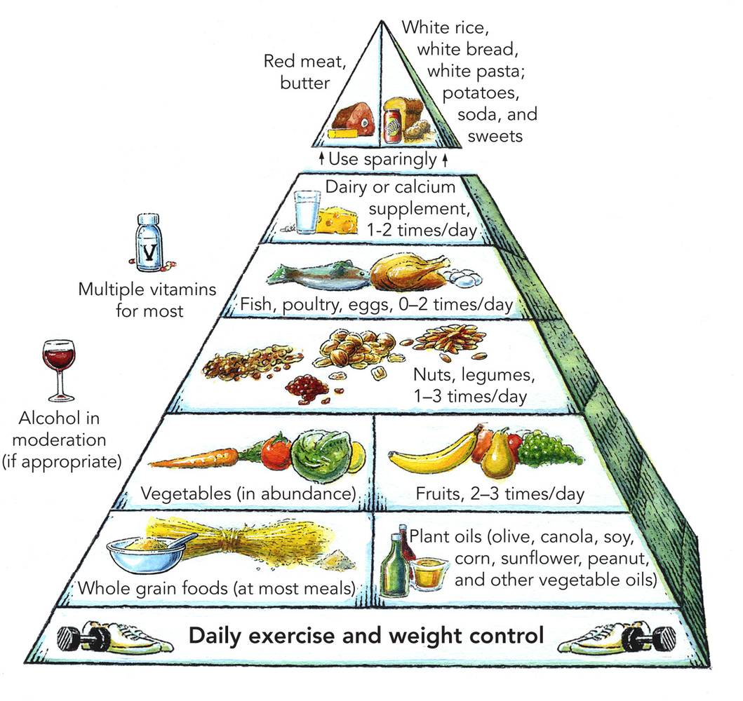 Harvard_food_pyramid.png