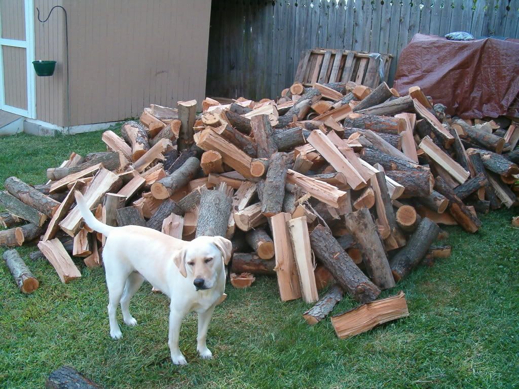 my wood...