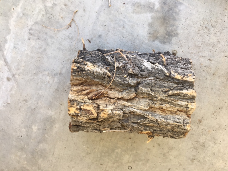 Help with what type of wood is this?