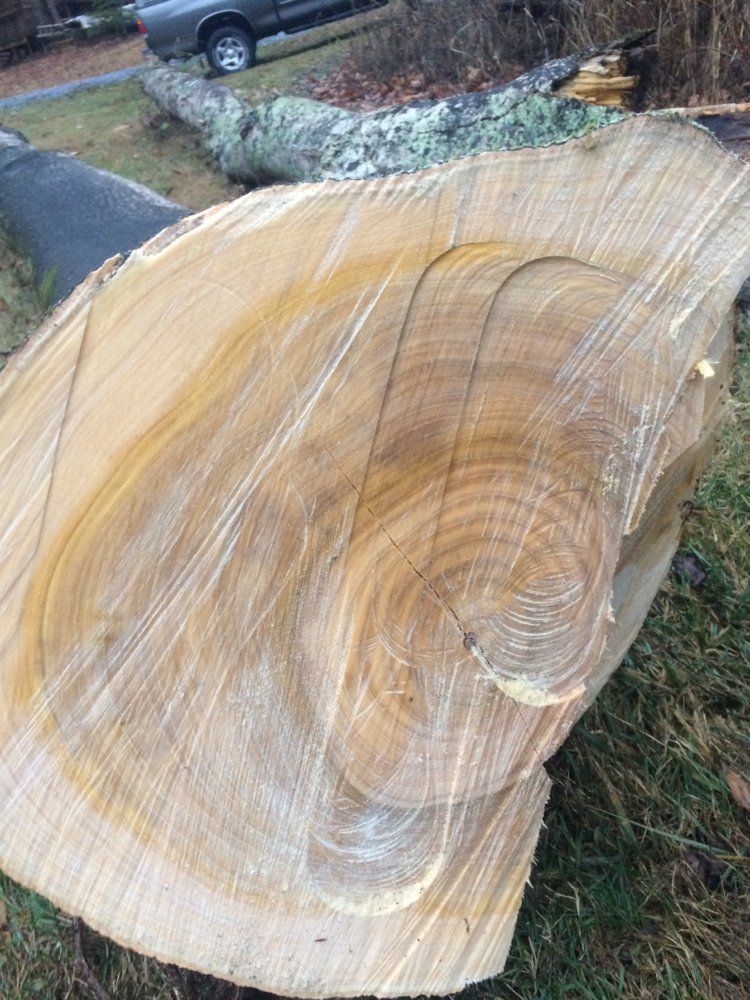 Help ID this wood.