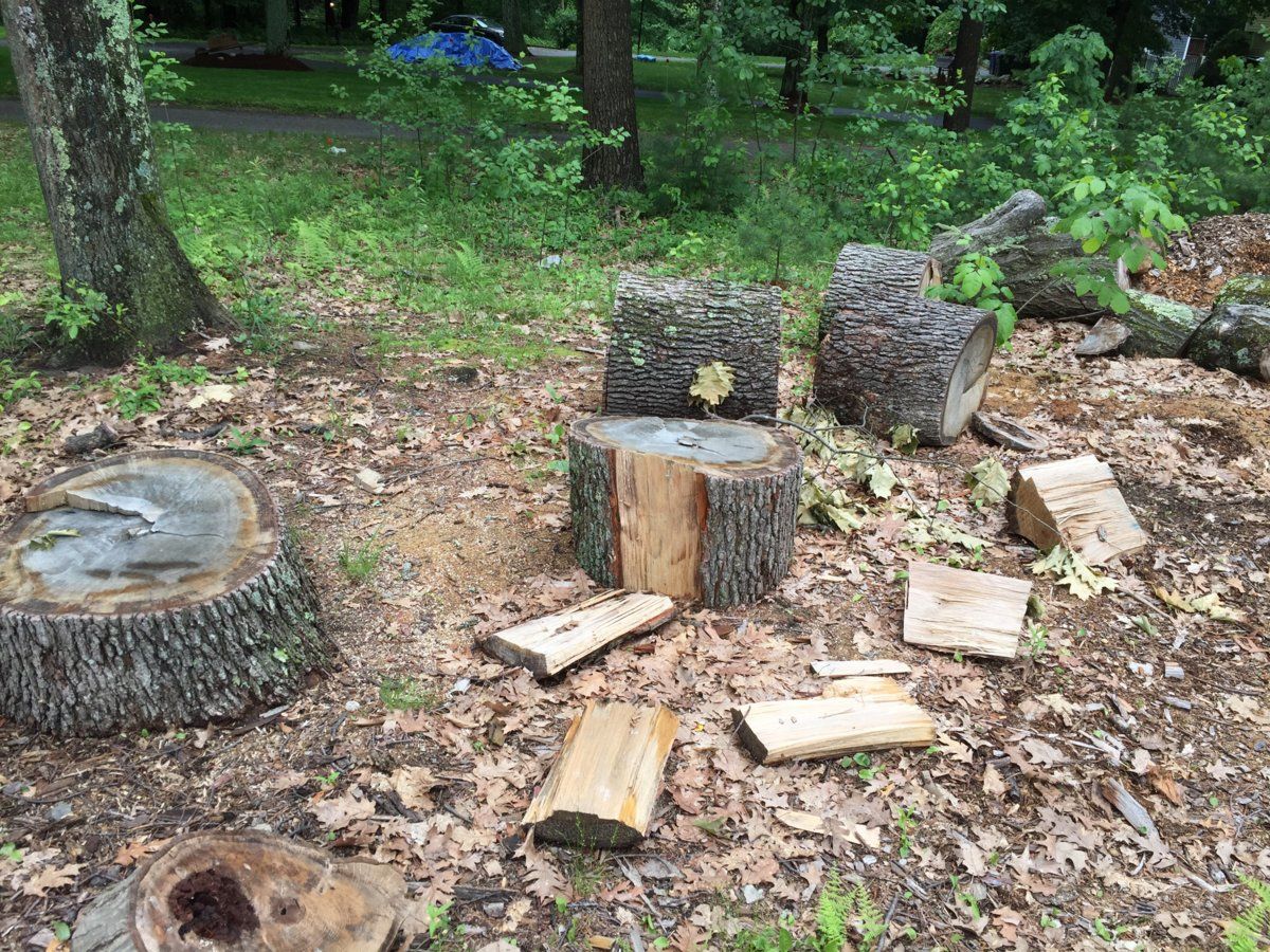 Free wood in Middlesex County Ma