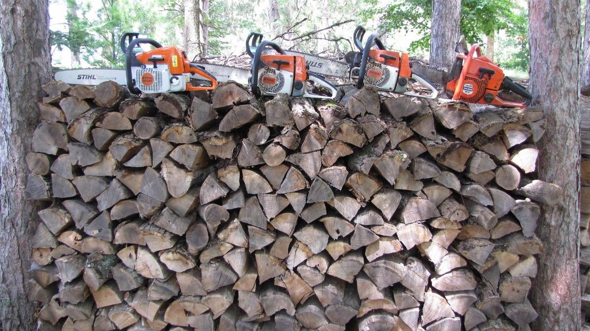 The Reward Of My Small-Time Firewood Selling Operation