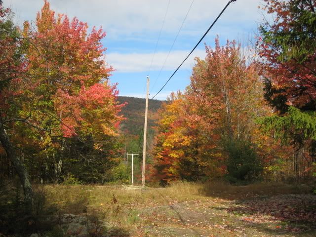 Fall in the Catskills