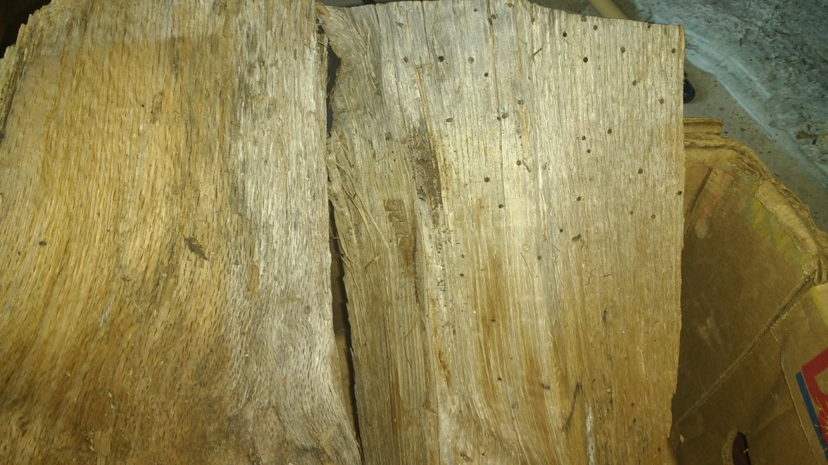Impact of Rainwater on Seasoned Firewood