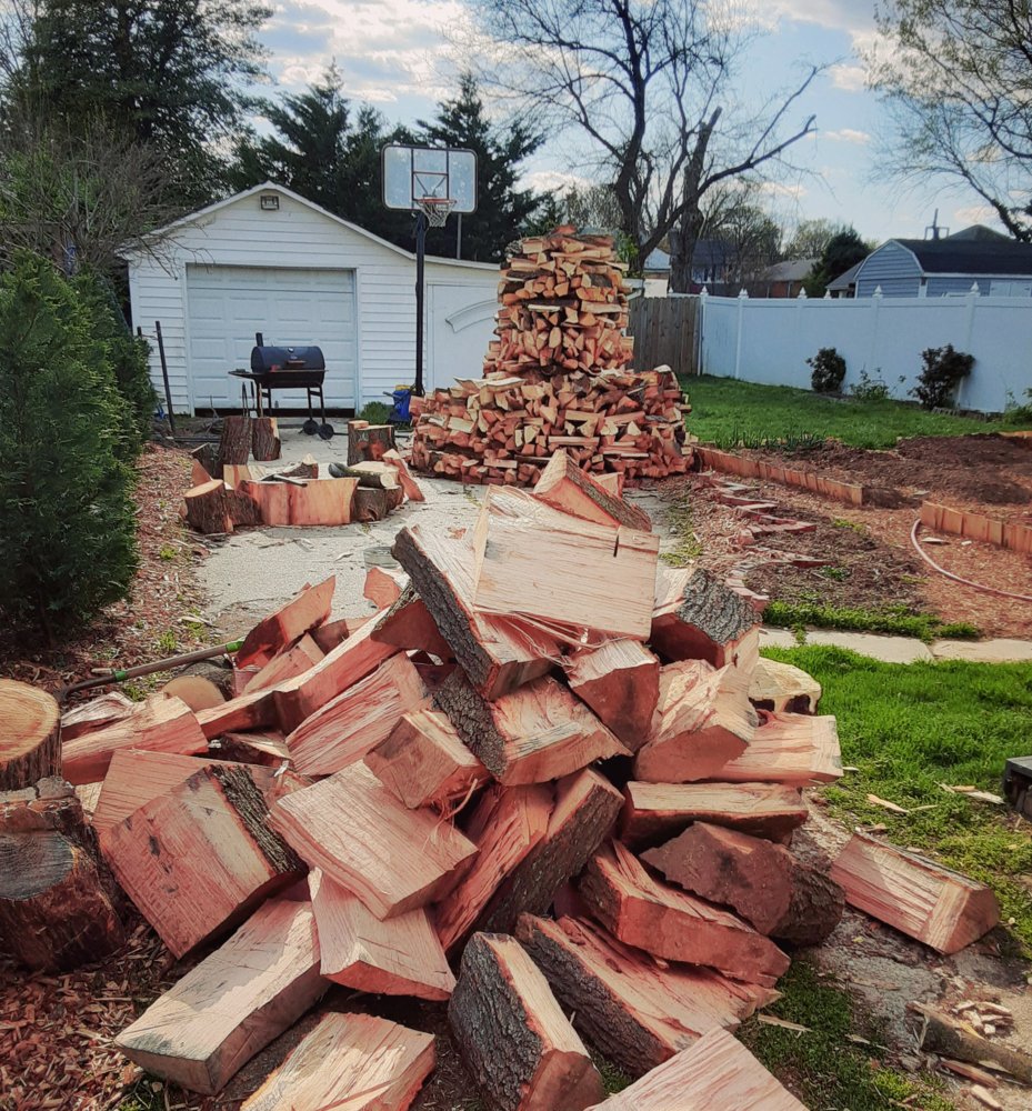 Check out this score of free wood!!!