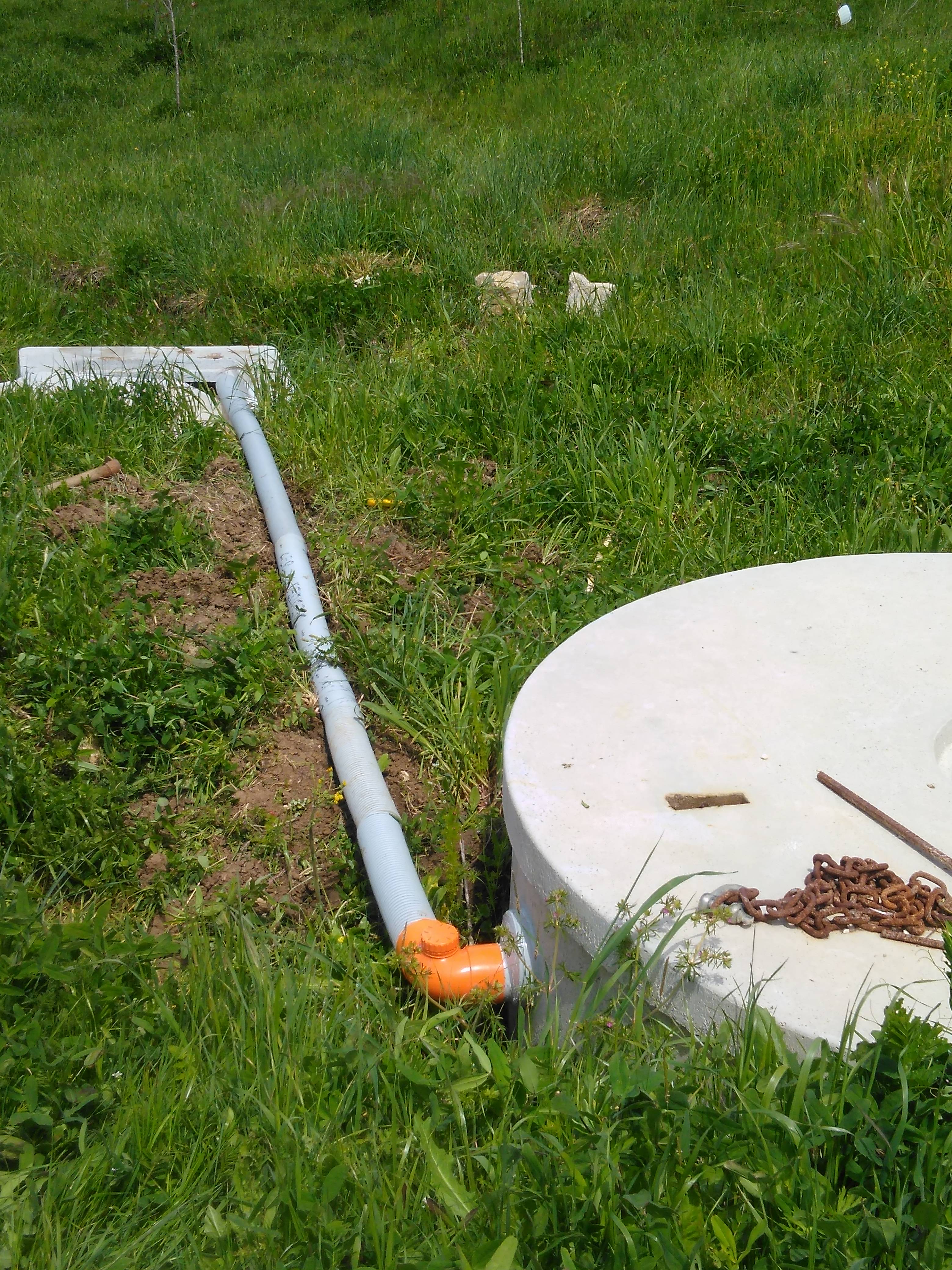 toxicity evaluation of septic tank overflow water