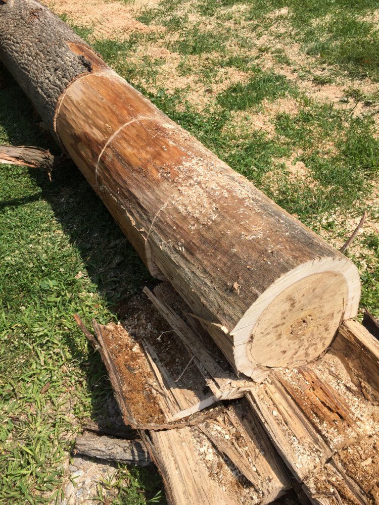 Please help ID this wood.