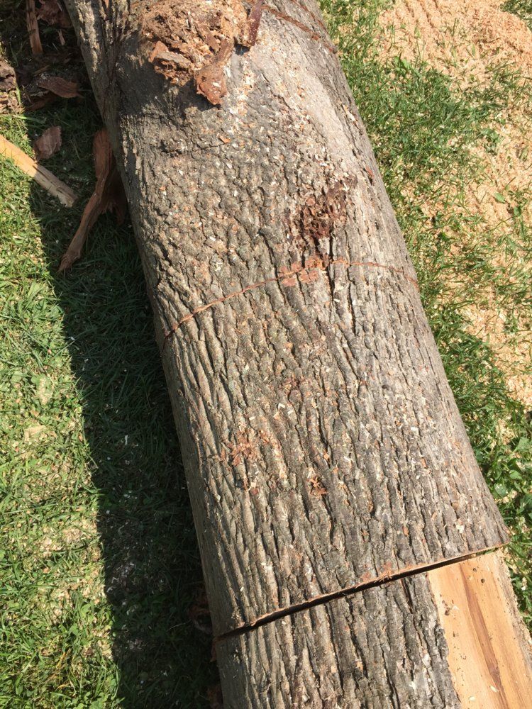 Please help ID this wood.