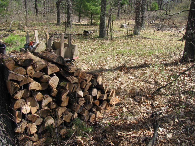 Way Too Much Firewood!