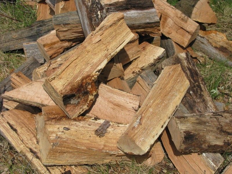 Pieces of Punk Wood