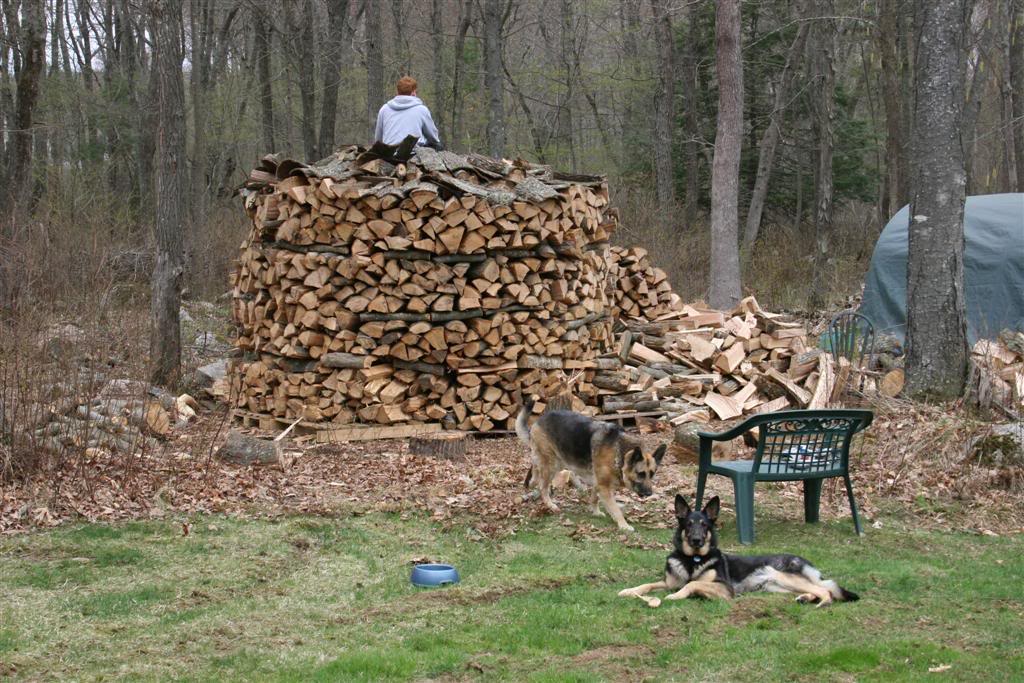 This years wood supply