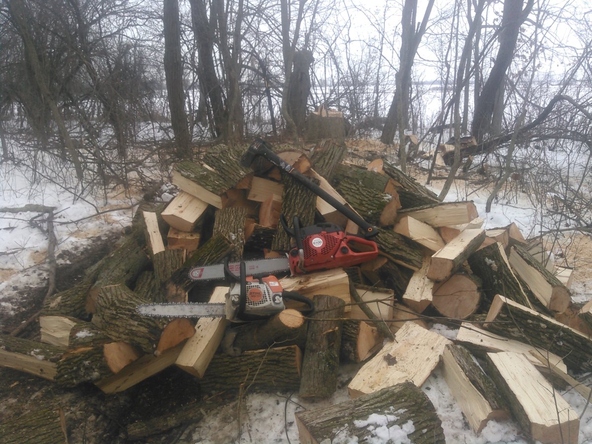Getting the wood out.