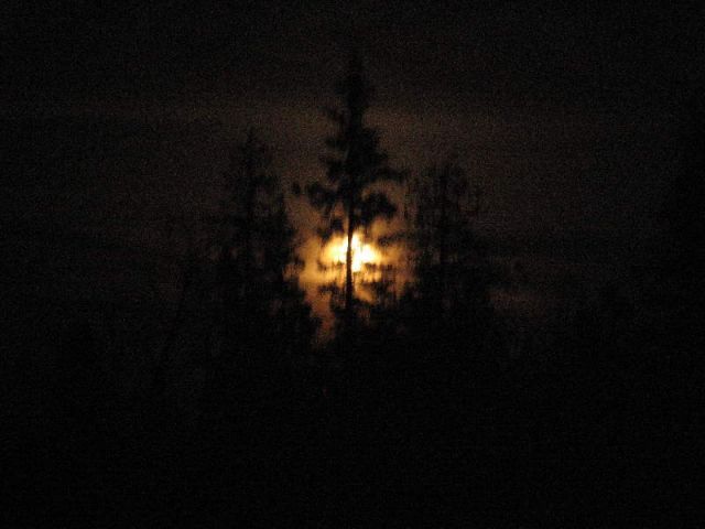 The Moon Tonight