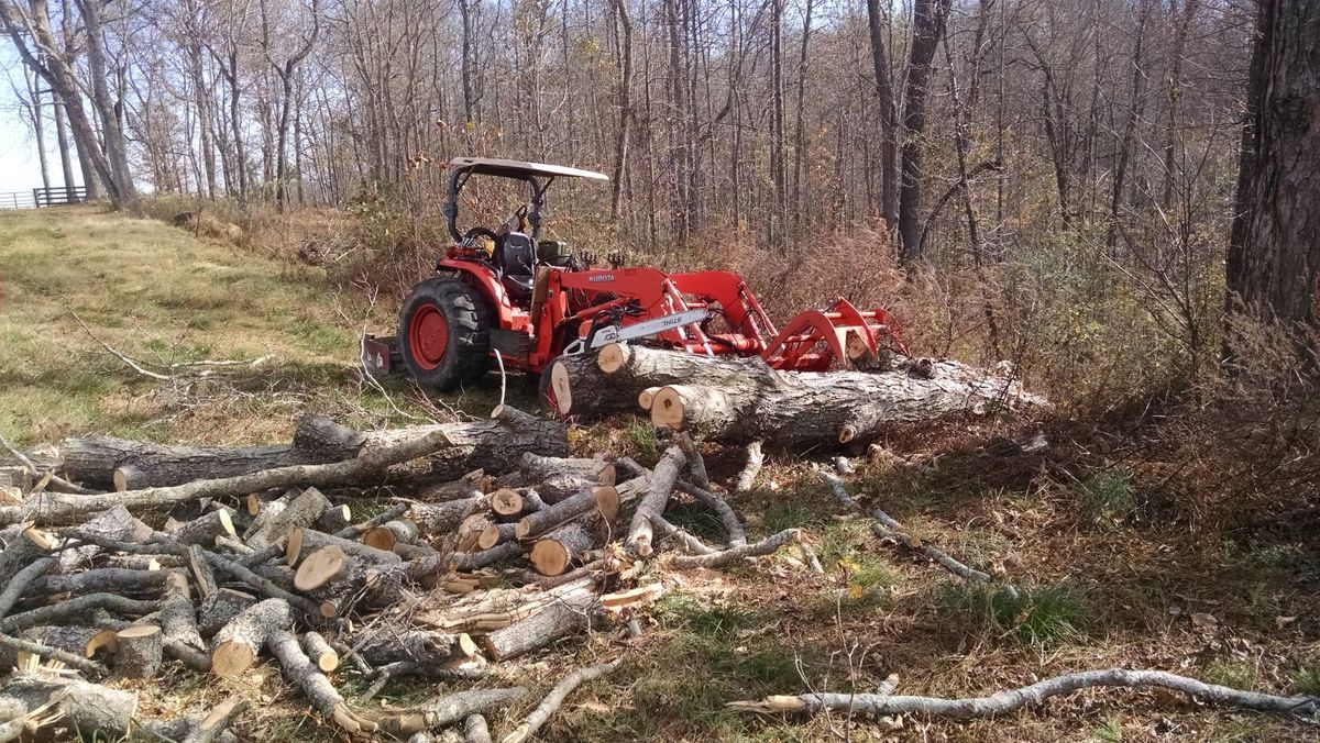 Firewood processing setup... Let's see/hear yours!