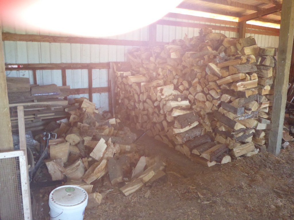 Great progress on my firewood supply.