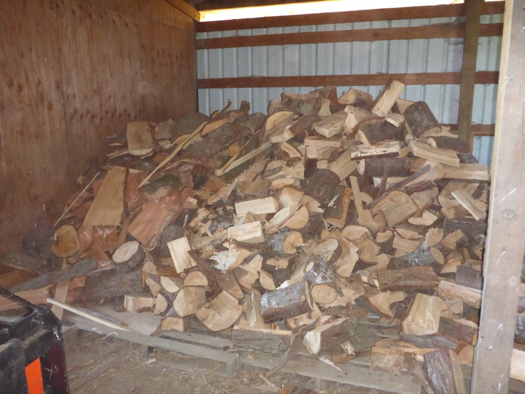 Great progress on my firewood supply.