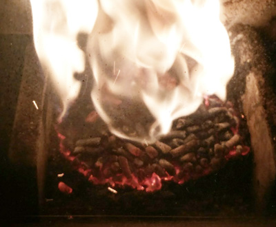 pellet stove burn pot.jpg