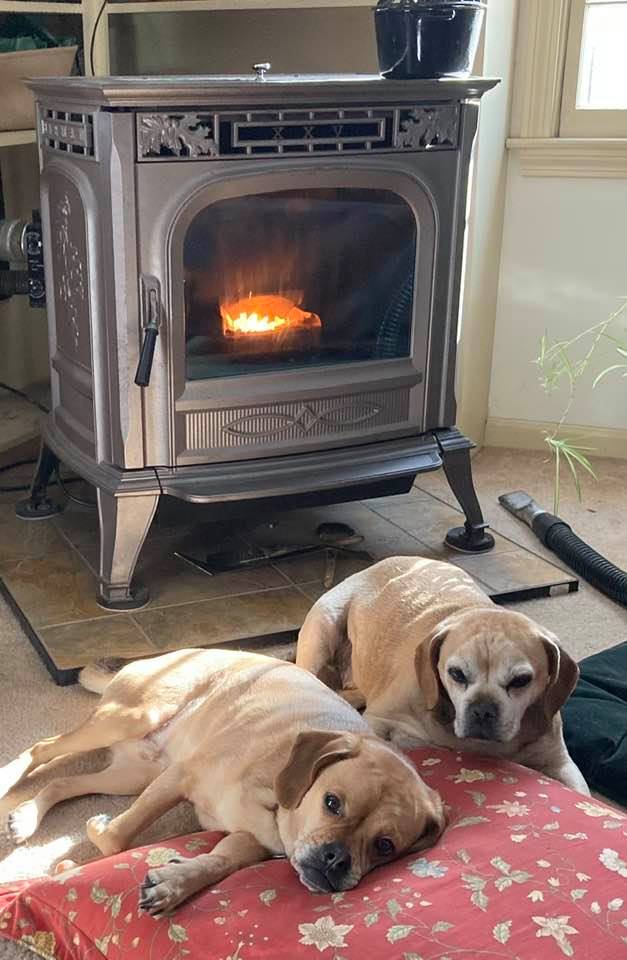 Happy Sunday!  My boys keeping warm on a cold morning.