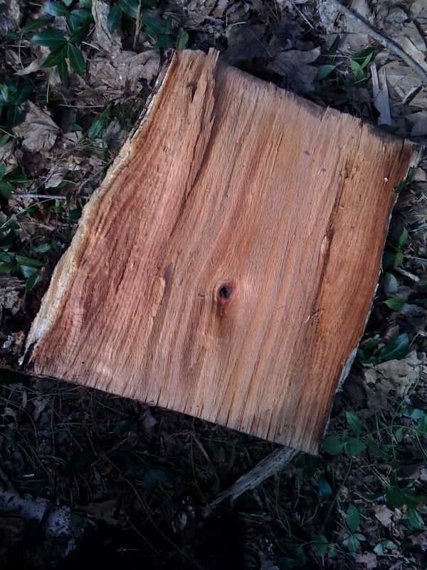 Wood worth splitting?