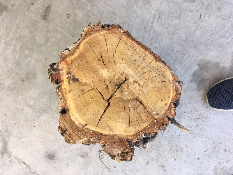 Help with what type of wood is this?