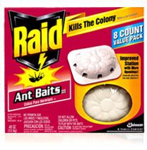 Ants won't eat my Raid bait