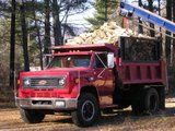 OK, how much wood can you fit in a truck?