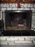 What type of fireplace do I have, and what can I put in it?