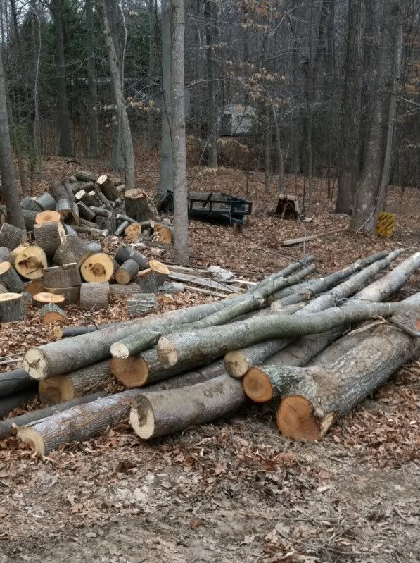 My wood pile I'm working on