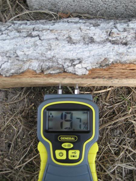 For rookies...how to use a moisture meter