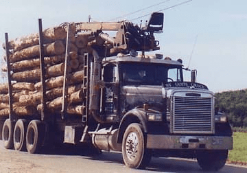 What kind of truck do they use to deliver logs?