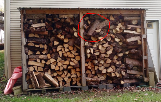 Firewood Storage Pictures