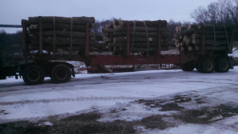 Log load- $1000.00 delivered good deal?