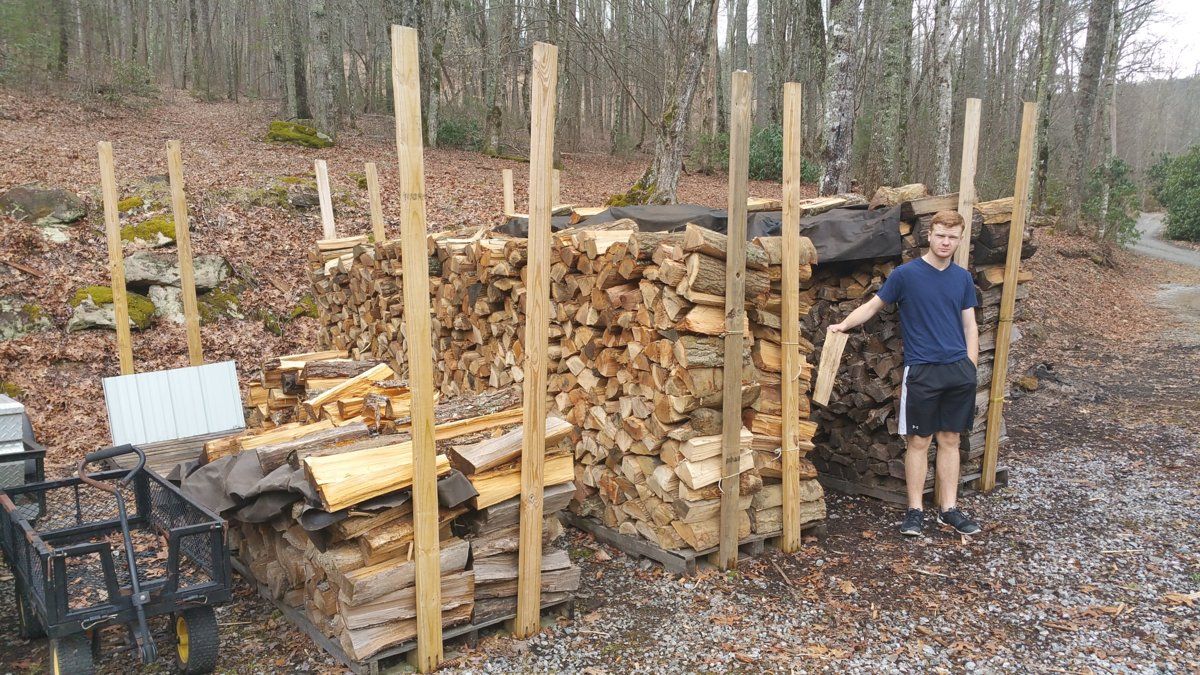 Wood Pile #2 16.03.12.jpg