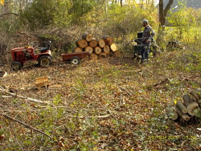 last fall wood cutting...dial-up warning - pics