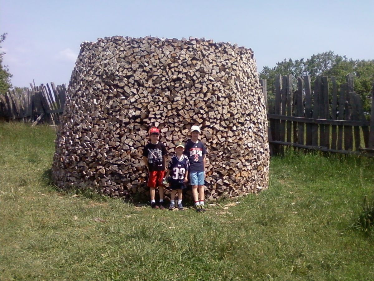The boys finished the wood stacking :)