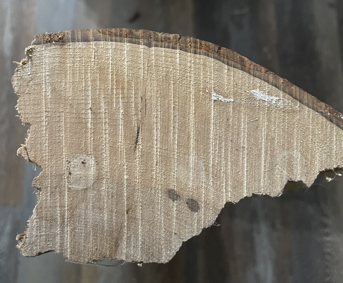 ID this wood please...